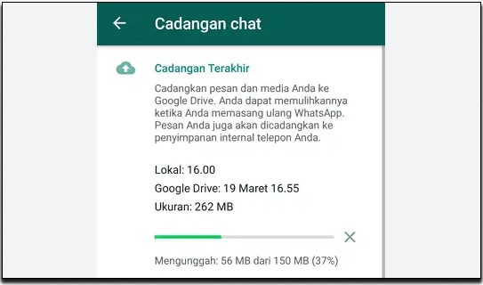 Tips Menghindari Agar File Tidak Hilang dan Terhapus Di Whatsapp
