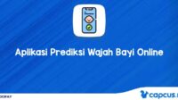 Aplikasi Prediksi Wajah Bayi Online