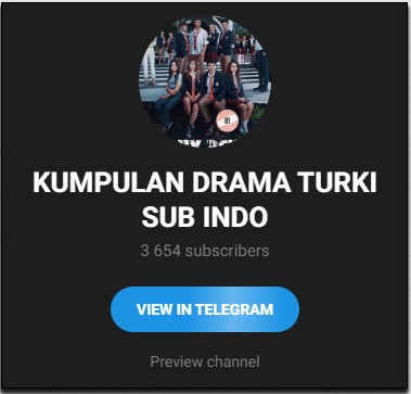 Drama Turki Sub Indo